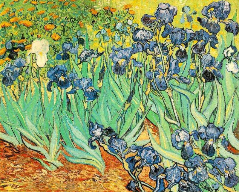 1889 irises.jpg